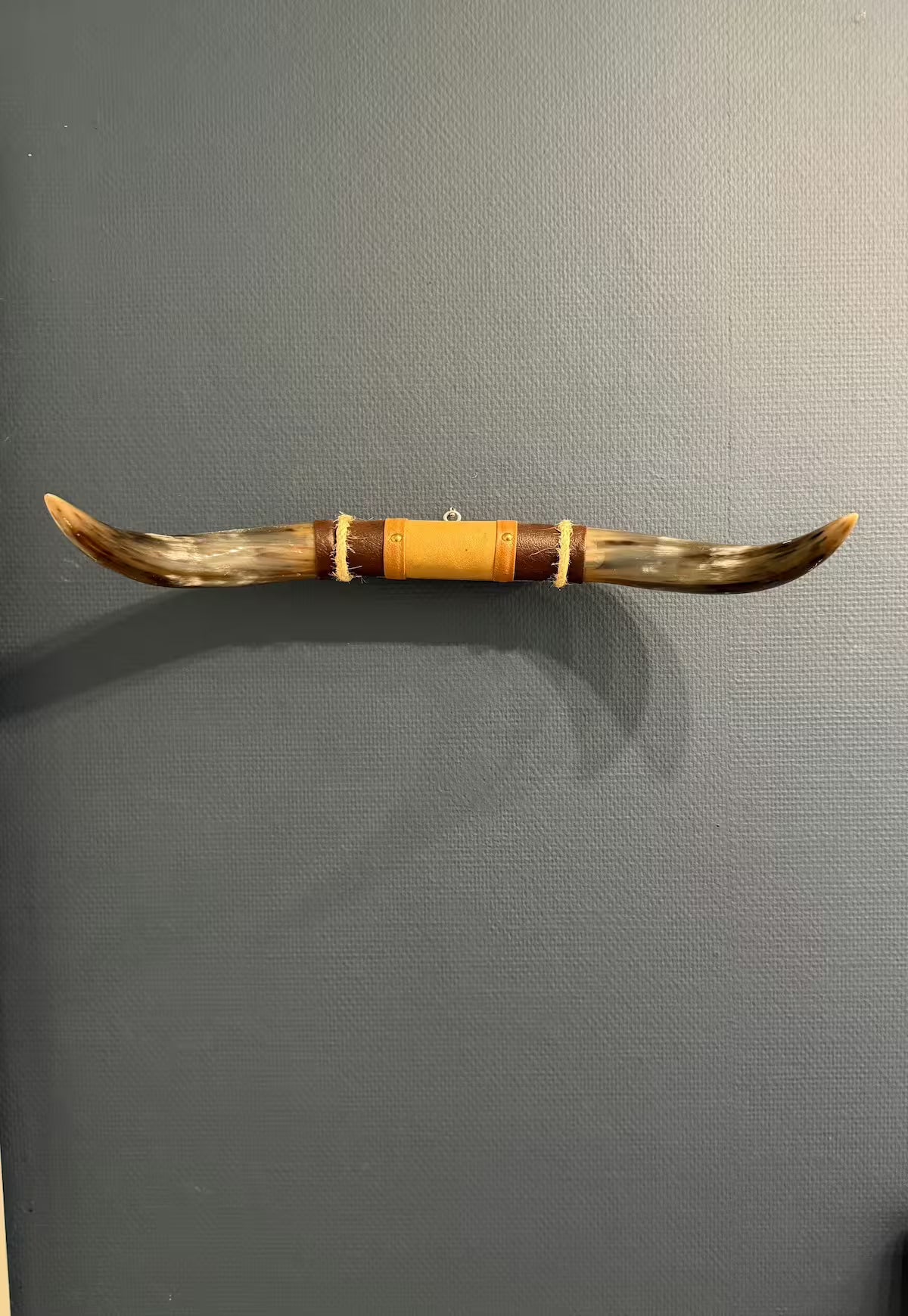 Bull Horn Wall Object Model 4 - Natural Horn Unique Piece with Leather-Wood Mount