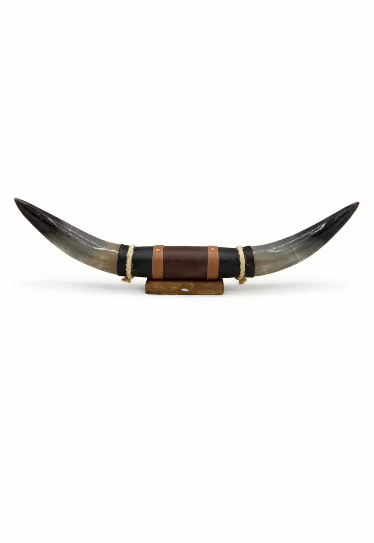 Bull Horn Wall Decor Model 8 - Natural Horn Unique Piece with Leather-Wood Mount