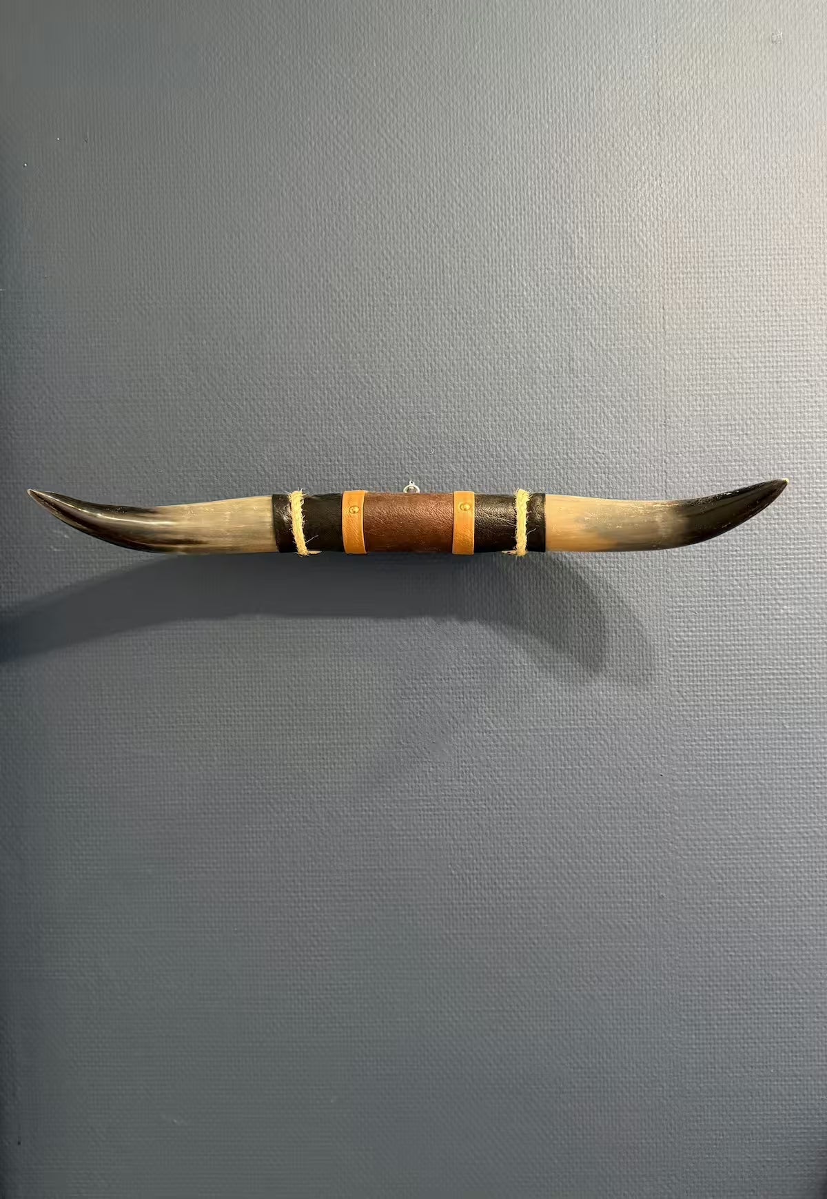 Bull Horn Wall Decor Model 8 - Natural Horn Unique Piece with Leather-Wood Mount