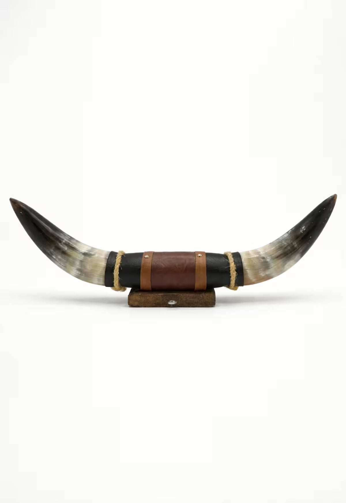 Bull Horn Wall Object Model 11 – Natural Horn Unique Piece with Leather-Wood Mount