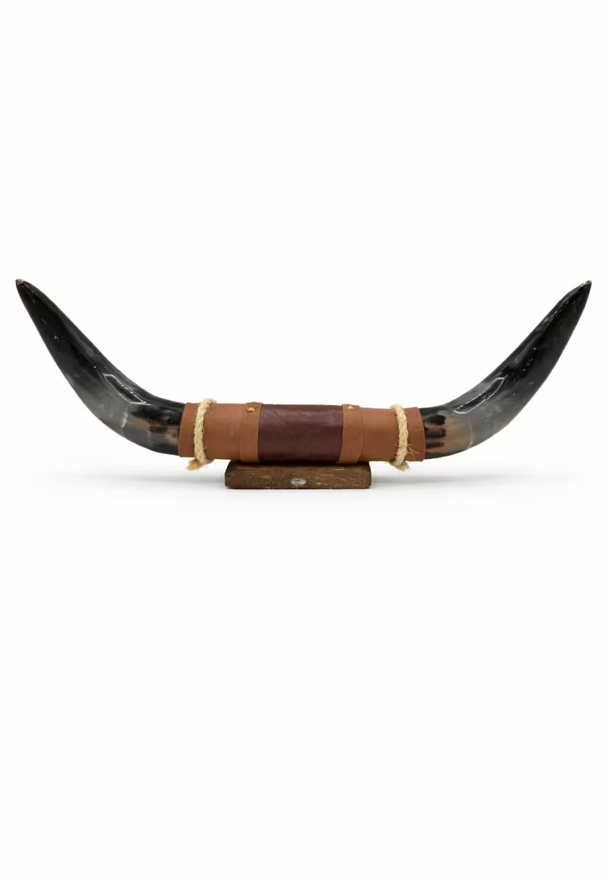 Bullhorn Wall Object Model 12 – Natural Horn Unique Piece with Leather-Wood Mount