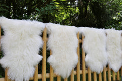 Lambskin Tibet White